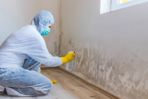 Mold Remediation specialist working in Frankfort
